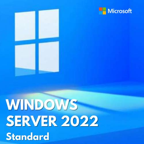 Microsoft Windows Server 2022 Standard  P73-08328-DL 